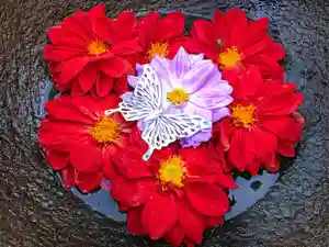 真言宗 善通寺派 薬王寺(香川県)(2022年10月25日(火) 11時36分43秒投稿)