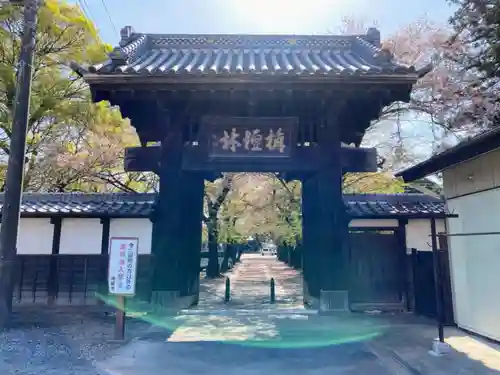 勝願寺の山門