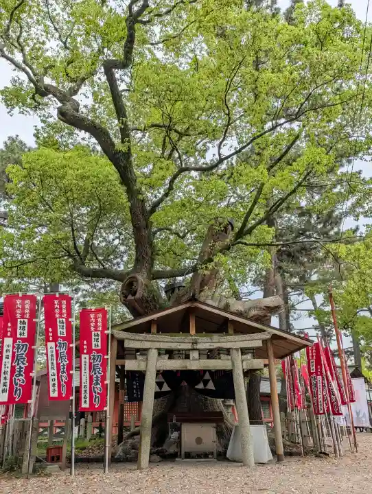 楠珺社(住吉大社末社)の{uncategorized: "未分類", other: "その他", undefined: "問題あり", building: "その他建物", grave: "お墓", sacred_gate: "鳥居", guardian: "狛犬", statue: "像", buddha: "仏像", history: "歴史", nature: "自然", garden: "庭園", animal: "動物", pagoda: "塔", temizu: "手水舎", mountain_gate: "山門・神門", sanctuary: "本殿・本堂", subordinate: "末社・摂社", art: "芸術", scenery: "景色", jizo: "地蔵", ema: "絵馬", goshuin: "御朱印", omikuji: "おみくじ", items: "授与品その他", amulet: "お守り", goshuincho: "御朱印帳", eats: "食事", festival: "お祭り", votive_dance: "神楽", shichigosan: "七五三参", wedding: "結婚式", experience: "体験その他", initially: "初詣", around: "周辺", anti_infection: "感染症対策"}