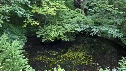 函館八幡宮の庭園