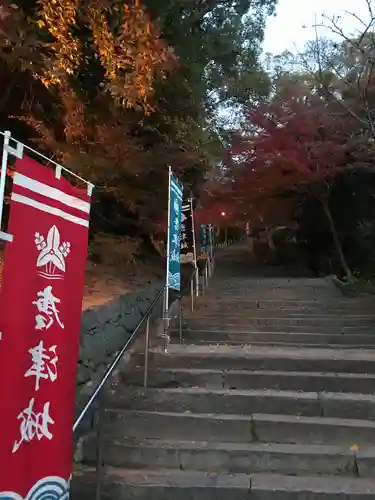 唐津神社(佐賀県)