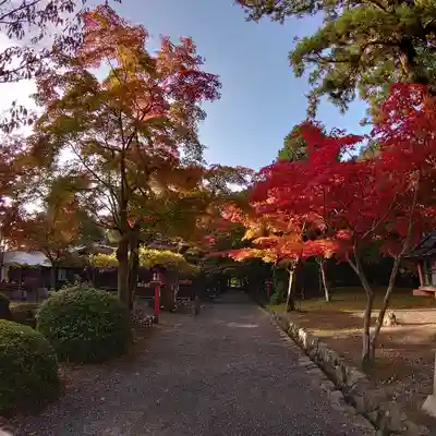 大原野神社のその他建物