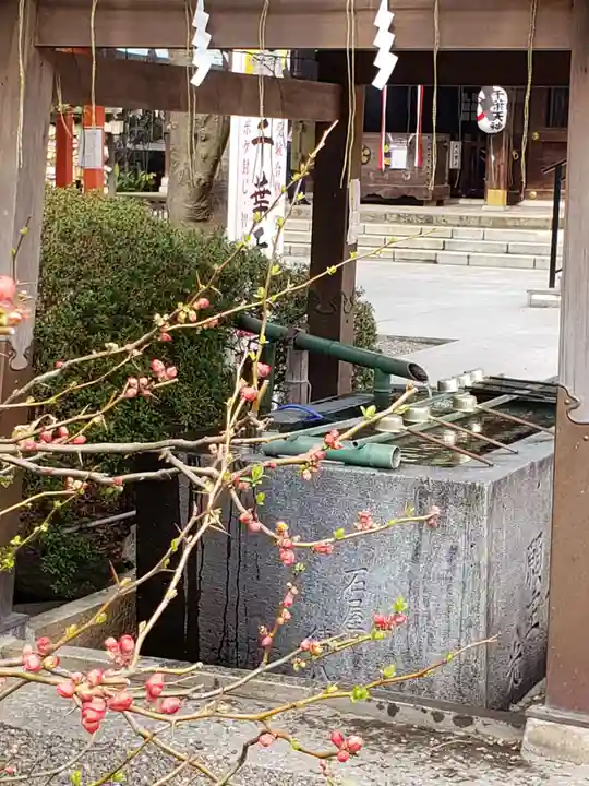 千葉神社の手水舎