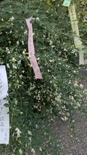 梨木神社(京都府)