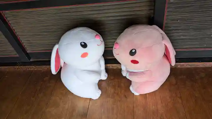 勝林寺(京都府)