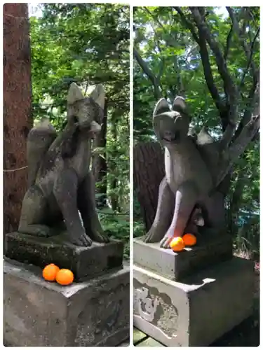 千歳神社の狛犬