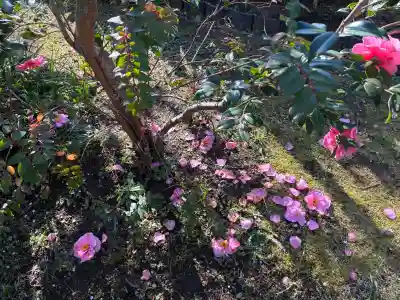 瑞泉寺の{uncategorized: "未分類", other: "その他", undefined: "問題あり", building: "その他建物", grave: "お墓", sacred_gate: "鳥居", guardian: "狛犬", statue: "像", buddha: "仏像", history: "歴史", nature: "自然", garden: "庭園", animal: "動物", pagoda: "塔", temizu: "手水舎", mountain_gate: "山門・神門", sanctuary: "本殿・本堂", subordinate: "末社・摂社", art: "芸術", scenery: "景色", jizo: "地蔵", ema: "絵馬", goshuin: "御朱印", omikuji: "おみくじ", items: "授与品その他", amulet: "お守り", goshuincho: "御朱印帳", eats: "食事", festival: "お祭り", votive_dance: "神楽", shichigosan: "七五三参", wedding: "結婚式", experience: "体験その他", initially: "初詣", around: "周辺", anti_infection: "感染症対策"}