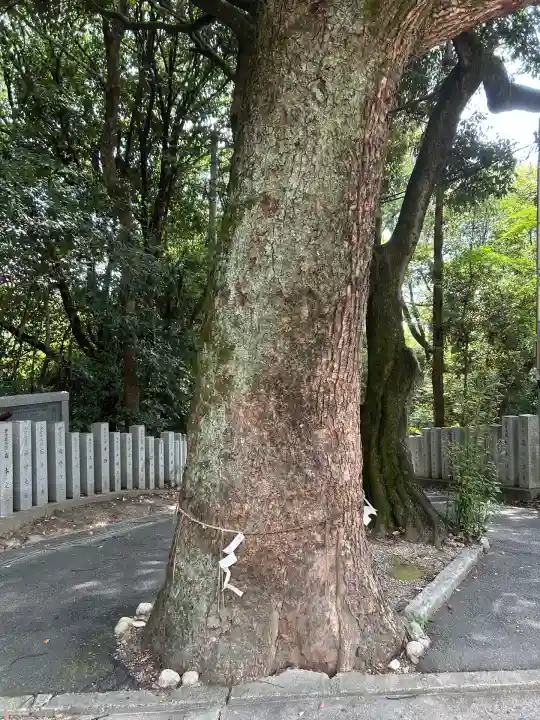 吉志部神社(大阪府)
