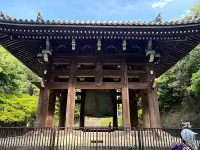 知恩院の{uncategorized: "未分類", other: "その他", undefined: "問題あり", building: "その他建物", grave: "お墓", sacred_gate: "鳥居", guardian: "狛犬", statue: "像", buddha: "仏像", history: "歴史", nature: "自然", garden: "庭園", animal: "動物", pagoda: "塔", temizu: "手水舎", mountain_gate: "山門・神門", sanctuary: "本殿・本堂", subordinate: "末社・摂社", art: "芸術", scenery: "景色", jizo: "地蔵", ema: "絵馬", goshuin: "御朱印", omikuji: "おみくじ", items: "授与品その他", amulet: "お守り", goshuincho: "御朱印帳", eats: "食事", festival: "お祭り", votive_dance: "神楽", shichigosan: "七五三参", wedding: "結婚式", experience: "体験その他", initially: "初詣", around: "周辺", anti_infection: "感染症対策"}