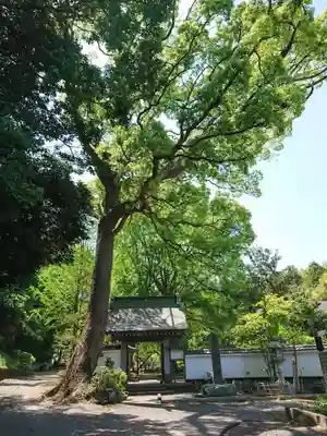 宗賢院の山門・神門