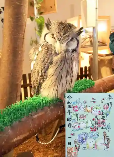 大宮・大原神社の御朱印