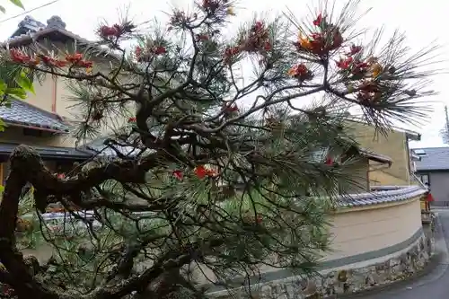 金福寺のその他建物