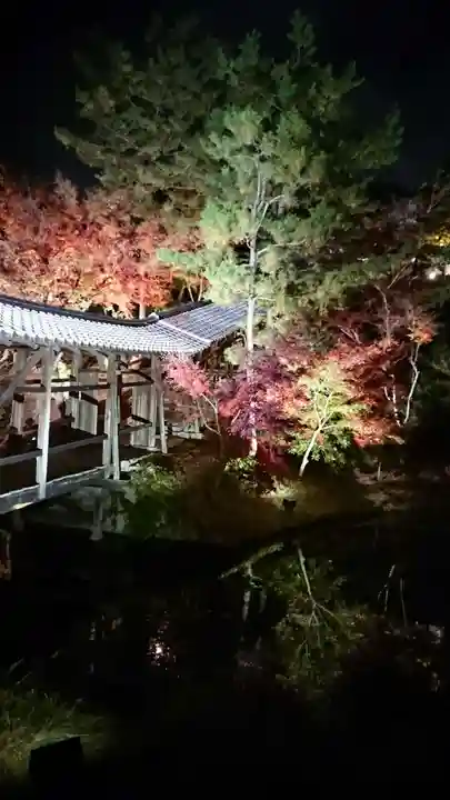 高台寺(高台寿聖禅寺・高臺寺)の庭園