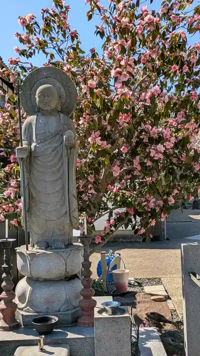 大松禅寺(京都府)
