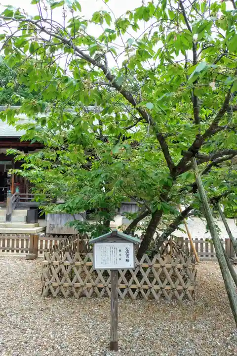 上地八幡宮の庭園