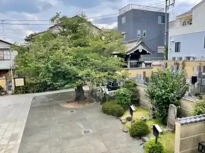 延台寺(神奈川県)