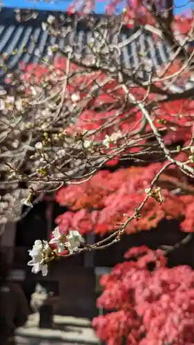 赤山禅院(京都府)