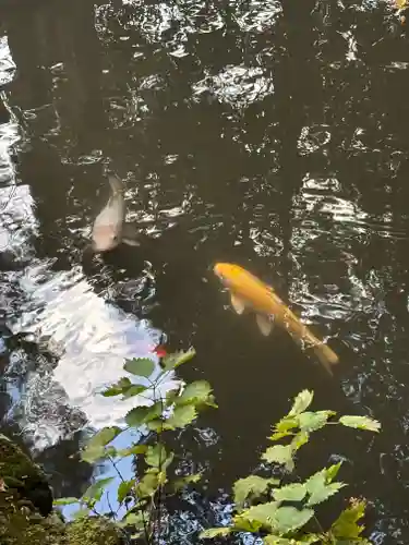 伊和神社(兵庫県)