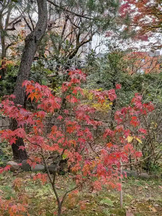 乃木神社(東京都)