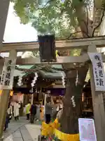 少彦名神社の鳥居