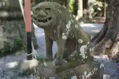 間々田八幡宮の狛犬