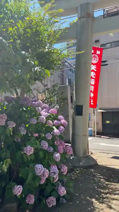 矢先稲荷神社(東京都)