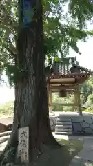 法専寺の建物その他