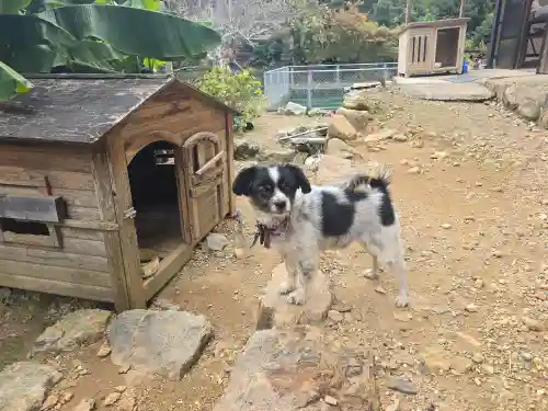 天台宗 五大山 白毫寺(兵庫県)
