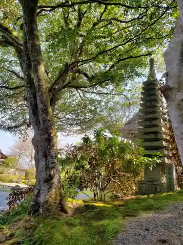 普門寺の塔