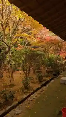 龍安寺(京都府)