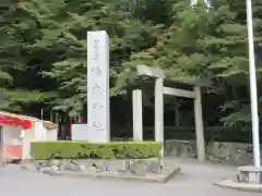 椿大神社の鳥居