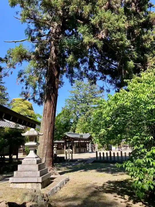 大嶋神社奥津嶋神社の{uncategorized: "未分類", other: "その他", undefined: "問題あり", building: "その他建物", grave: "お墓", sacred_gate: "鳥居", guardian: "狛犬", statue: "像", buddha: "仏像", history: "歴史", nature: "自然", garden: "庭園", animal: "動物", pagoda: "塔", temizu: "手水舎", mountain_gate: "山門・神門", sanctuary: "本殿・本堂", subordinate: "末社・摂社", art: "芸術", scenery: "景色", jizo: "地蔵", ema: "絵馬", goshuin: "御朱印", omikuji: "おみくじ", items: "授与品その他", amulet: "お守り", goshuincho: "御朱印帳", eats: "食事", festival: "お祭り", votive_dance: "神楽", shichigosan: "七五三参", wedding: "結婚式", experience: "体験その他", initially: "初詣", around: "周辺", anti_infection: "感染症対策"}