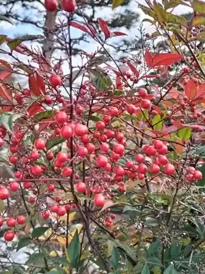 開成山大神宮(福島県)