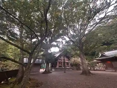 安房神社のその他建物