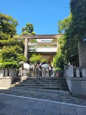 東京大神宮(東京都)