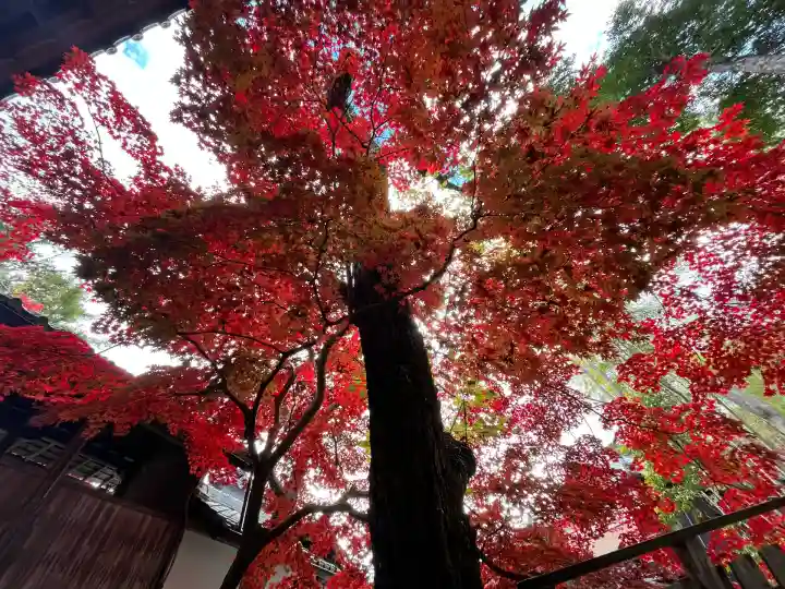 神峯山寺(大阪府)