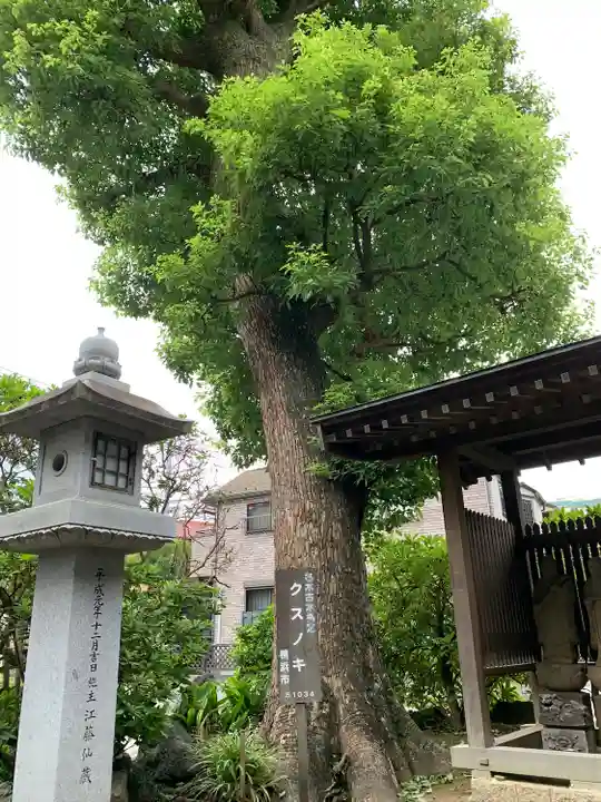 法華寺(神奈川県)