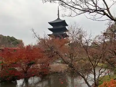 東寺(教王護国寺)の塔