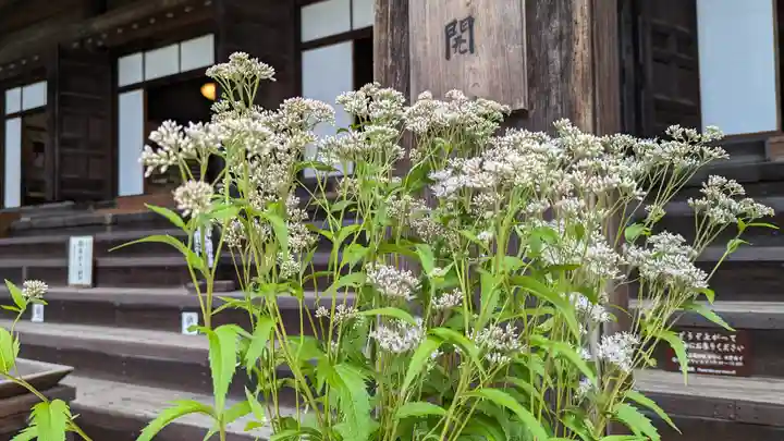 真正極楽寺(真如堂)(京都府)