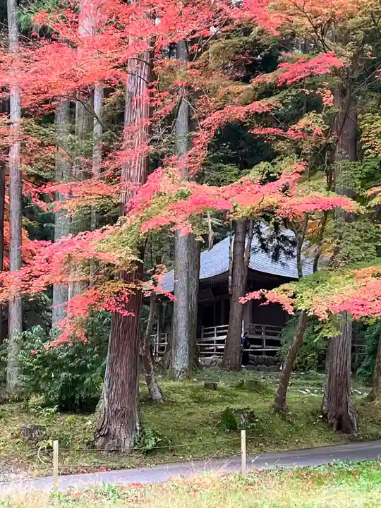 中尊寺(岩手県)