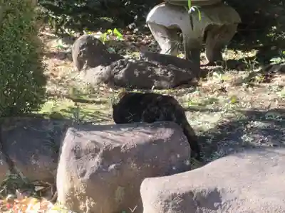 国分寺（相模國分寺）(神奈川県)