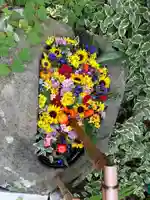 岡部春日神社~👹鬼門よけの🌺花咲く🌺やしろ~(福島県)