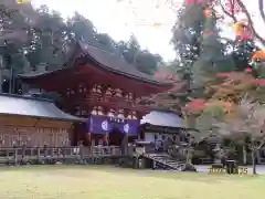 丹生都比売神社(和歌山県)