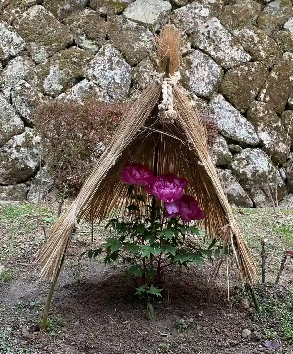 長谷寺(奈良県)