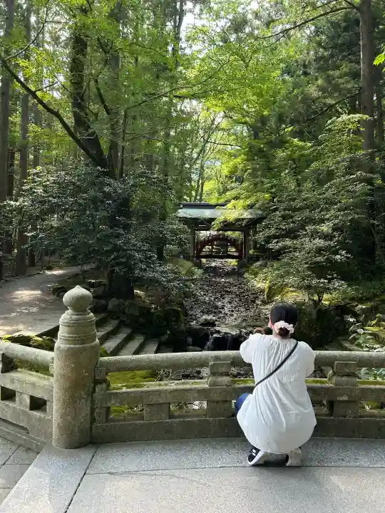 彌彦神社(新潟県)