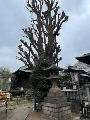 五條天神社(東京都)