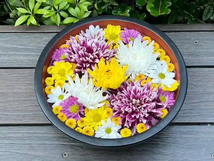 増上寺塔頭 三縁山 宝珠院(東京都)