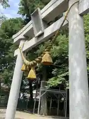 天鷹神社の鳥居