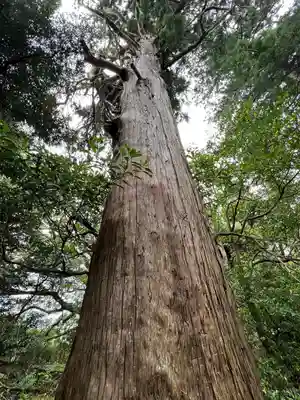 八雲神社(千葉県)