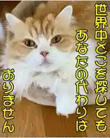 西教寺(下松駅徒歩5分)(山口県)